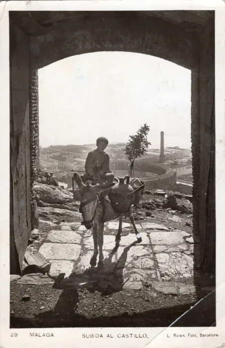 Framed Print : Boy with donkey, Malaga Castle, 1932. Creator: L Roisin Framed Print : Boy with donkey, Malaga Castle, 1932. Creator: L Roisin