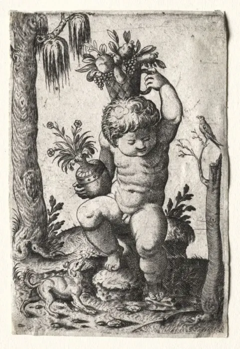 Framed Print : Boy with Fruit Basket, 1500s or 1600s. Creator: Unknown Framed Print : Boy with Fruit Basket, 1500s or 1600s. Creator: Unknown