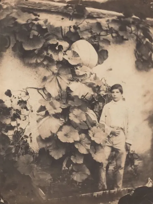 Framed Print : Boy with a Pumpkin Vine, 1854. Creator: Varin Freres Framed Print : Boy with a Pumpkin Vine, 1854. Creator: Varin Freres