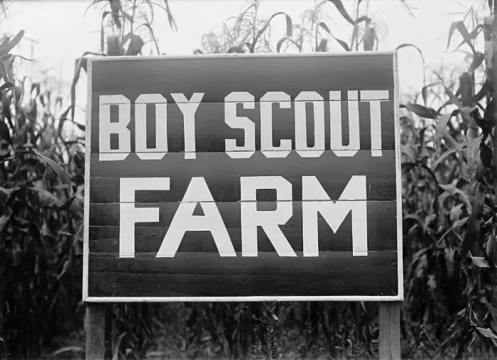 Framed Print : Boy Scouts, Boy Scout Farm, 1917. Creator: Harris & Ewing. Boy Scouts, Boy Scout Farm, 1917. Creator: Harris & Ewing Framed Print : Boy Scouts, Boy Scout Farm, 1917. Creator: Harris & Ewing. Boy Scouts, Boy Scout Farm, 1917. Creator: Harris & Ewing