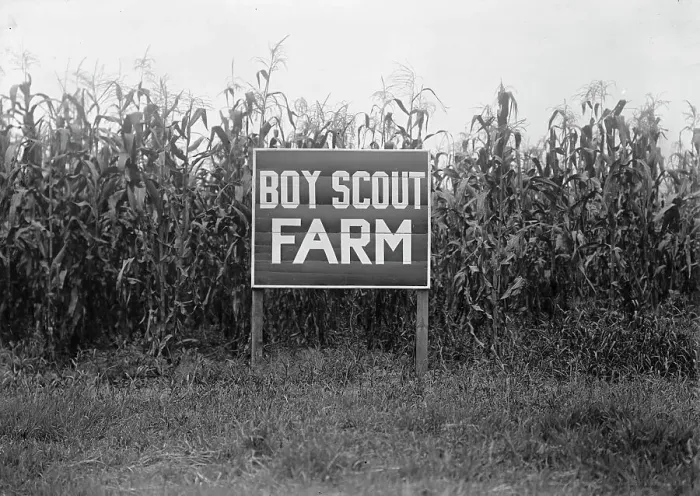 Framed Print : Boy Scouts, Boy Scout Farm, 1917. Creator: Harris & Ewing. Boy Scouts, Boy Scout Farm, 1917. Creator: Harris & Ewing Framed Print : Boy Scouts, Boy Scout Farm, 1917. Creator: Harris & Ewing. Boy Scouts, Boy Scout Farm, 1917. Creator: Harris & Ewing