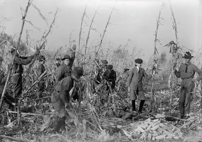 Framed Print : Boy Scouts, Boy Scout Farm, 1917. Creator: Harris & Ewing. Boy Scouts, Boy Scout Farm, 1917. Creator: Harris & Ewing Framed Print : Boy Scouts, Boy Scout Farm, 1917. Creator: Harris & Ewing. Boy Scouts, Boy Scout Farm, 1917. Creator: Harris & Ewing