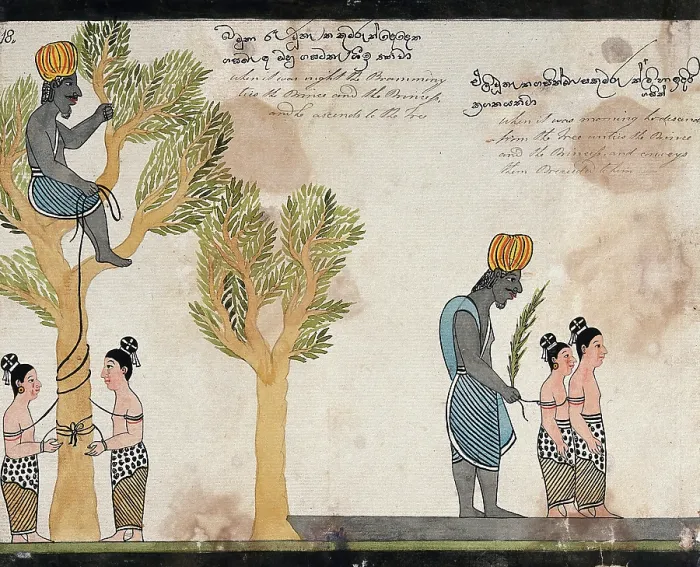 Framed Print : The brahmin, sitting in a tree, keeps the children of Vessantara tied up all night, and in... 1815. Creator: Unknown