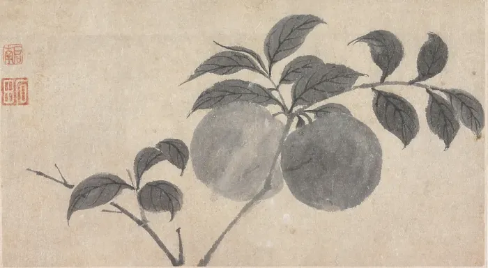 Framed Print : Branch of Fruit Bearing Tree, unknown date, c1450-1509. Creator: Shen Zhou Framed Print : Branch of Fruit Bearing Tree, unknown date, c1450-1509. Creator: Shen Zhou