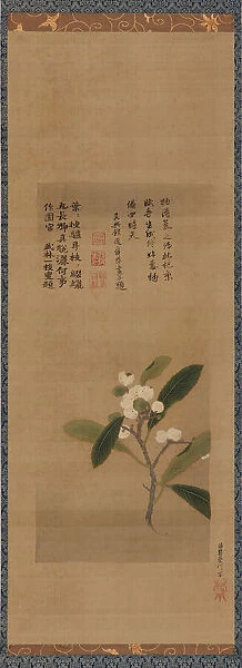 A branch of loquats, Edo period, 18th century. Creator: Kano Eisen'in Michinobu