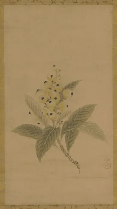 Framed Print : A branch of medlars, Edo period, 17th century. Creator: Kano Tan'yu Framed Print : A branch of medlars, Edo period, 17th century. Creator: Kano Tan'yu