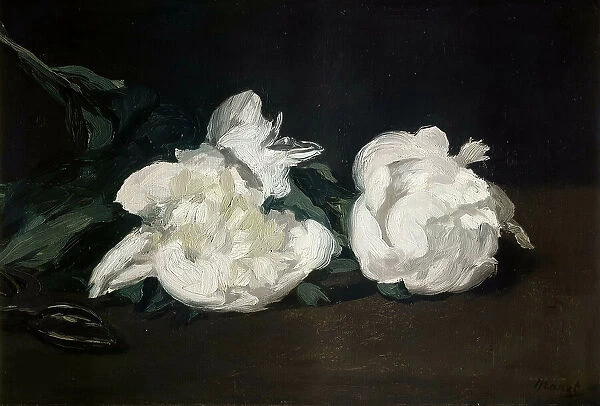 Branche de pivoines blanches et sécateur, 1864. Creator: Manet, Édouard (1832-1883)