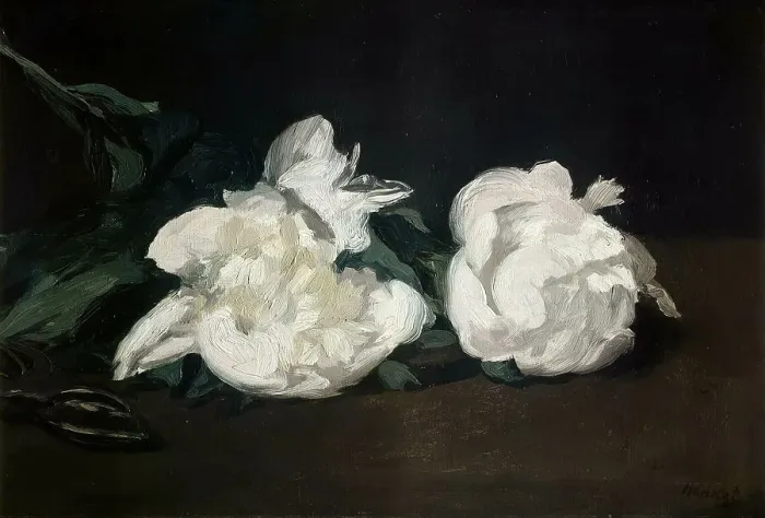 Framed Print : Branche de pivoines blanches et sécateur, 1864. Creator: Manet, Édouard (1832-1883) Framed Print : Branche de pivoines blanches et sécateur, 1864. Creator: Manet, Édouard (1832-1883)