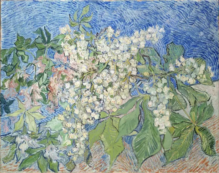 Framed Print : Branches de marronniers en fleur, 1890. Creator: Gogh, Vincent, van (1853-1890) Framed Print : Branches de marronniers en fleur, 1890. Creator: Gogh, Vincent, van (1853-1890)