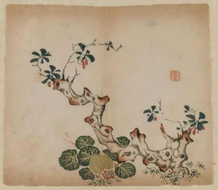 Framed Print : Branching Stump, 1368-1644. Creator: Unknown Framed Print : Branching Stump, 1368-1644. Creator: Unknown