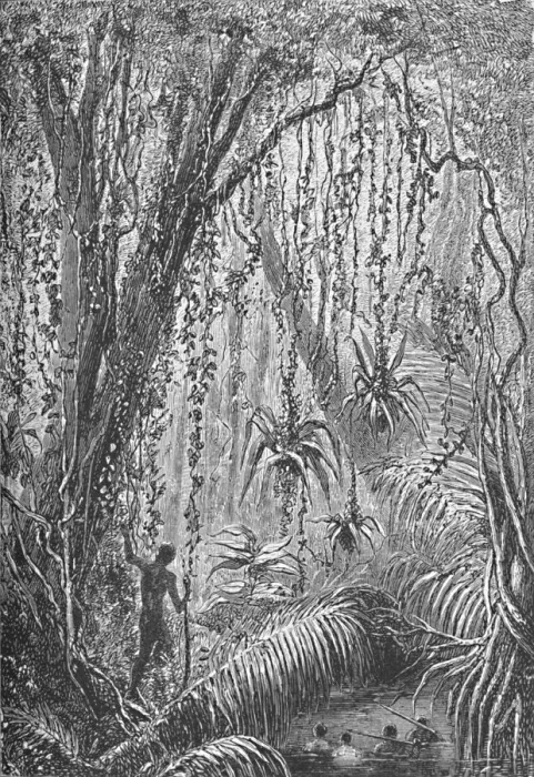 Framed Print : Brazilian Forest, c1885 (1890). Artist: Robert Taylor Pritchett Framed Print : Brazilian Forest, c1885 (1890). Artist: Robert Taylor Pritchett