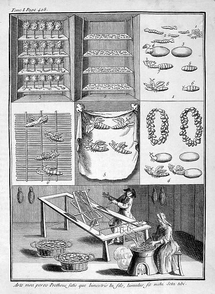The breeding of silk worms, 1775