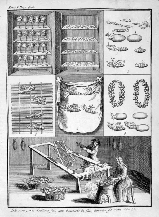 Framed Print : The breeding of silk worms, 1775 Framed Print : The breeding of silk worms, 1775