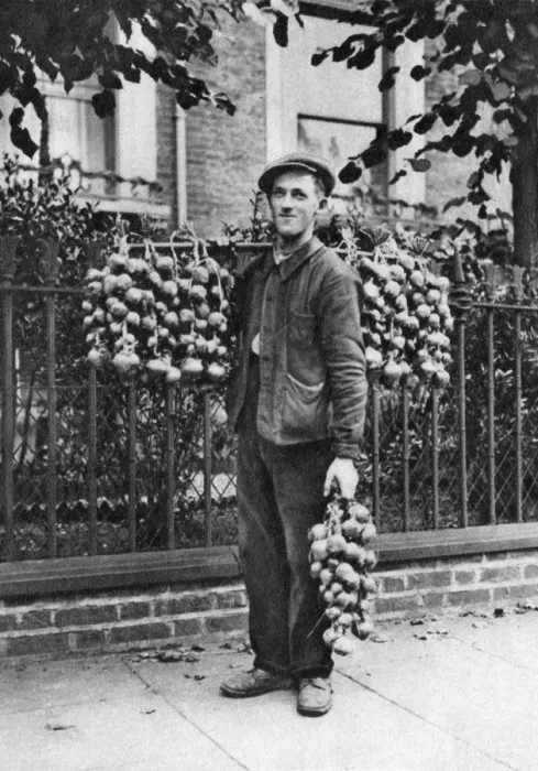 Framed Print : Breton onion seller, London, 1926-1927. Artist: McLeish Framed Print : Breton onion seller, London, 1926-1927. Artist: McLeish