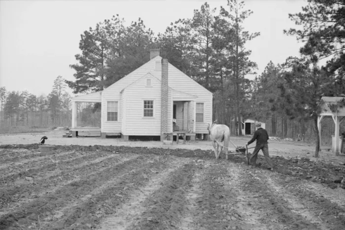 Framed Print : Briar Patch Project, Resettlement homestead near Eatonton, Georgia, 1936. Creator: Walker Evans Framed Print : Briar Patch Project, Resettlement homestead near Eatonton, Georgia, 1936. Creator: Walker Evans