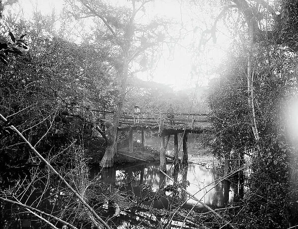 Bridge at Crucitas, between 1880 and 1897. Creator: William H. Jackson