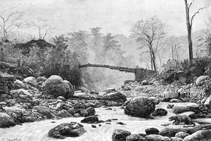 Framed Print : A bridge over the Rangit, a tributary of the river Teesta, India, 1895 Framed Print : A bridge over the Rangit, a tributary of the river Teesta, India, 1895