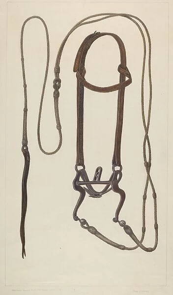 Bridle with Braided Rawhide Reins, c. 1937. Creator: Clyde L. Cheney