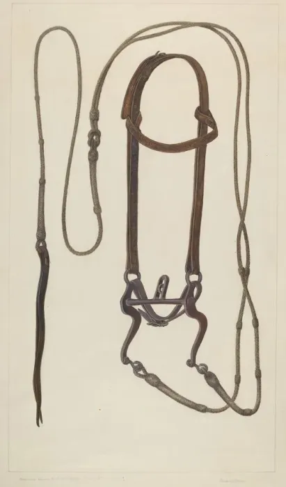 Framed Print : Bridle with Braided Rawhide Reins, c. 1937. Creator: Clyde L. Cheney Framed Print : Bridle with Braided Rawhide Reins, c. 1937. Creator: Clyde L. Cheney