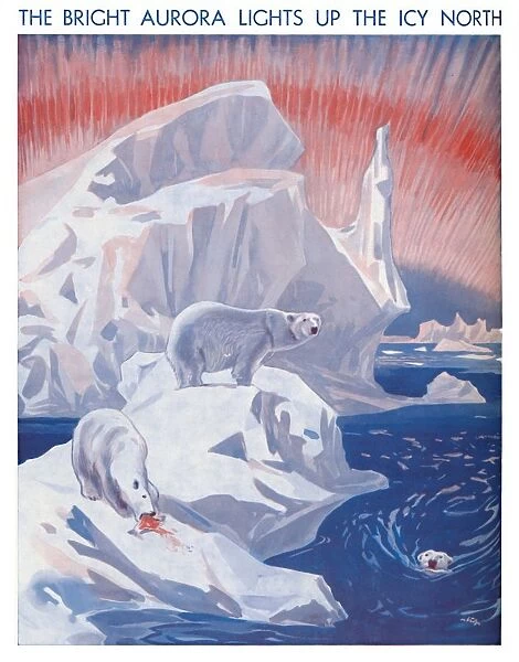 The Bright Aurora Lights Up The Icy North, 1935