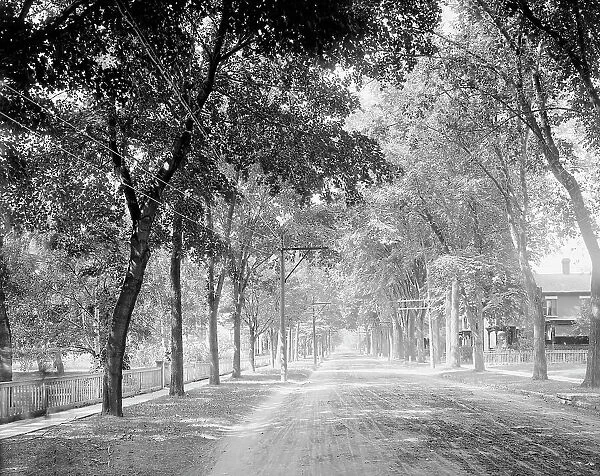 Brinkerhoff St. (west from park), Plattsburgh, N.Y. c1907. Creator: Unknown
