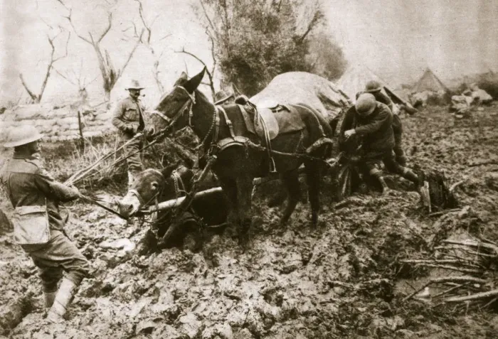 Framed Print : A British ammunition column finds it hard going, World War I, c1914-c1918. Artist Framed Print : A British ammunition column finds it hard going, World War I, c1914-c1918. Artist