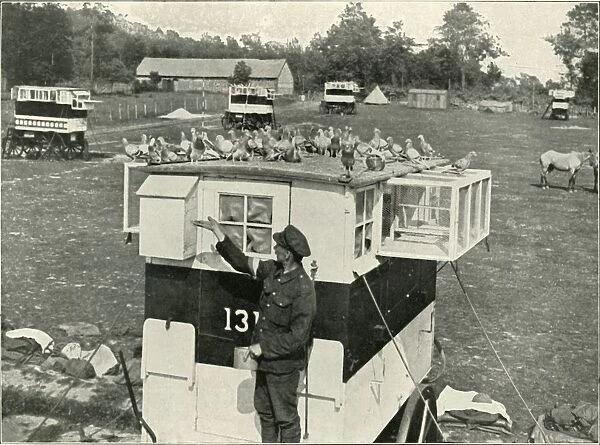 British Army Carrier Pigeons in France: Horse-Drawn Lofts, (1919). Creator: Unknown