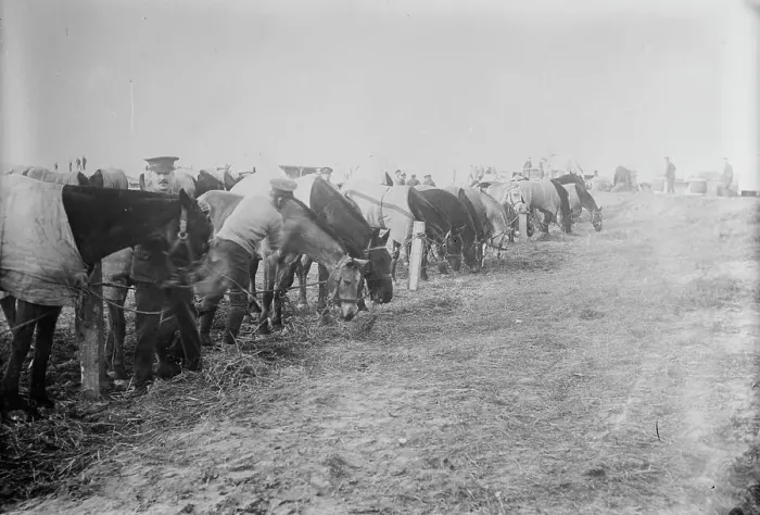 Framed Print : British at Etaples, France, Feb. 1915. Creator: Bain News Service Framed Print : British at Etaples, France, Feb. 1915. Creator: Bain News Service