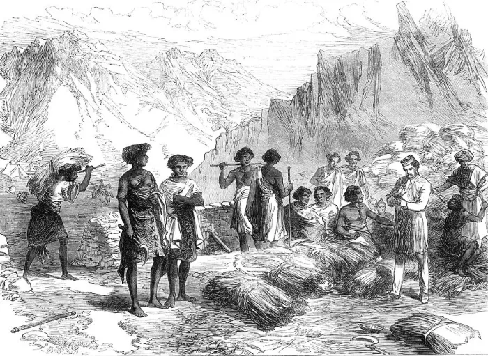 Framed Print : The British Expedition to Abyssinia: Shohos bringing in grass to the Commissariat, Undel Wells, 1868 Creator: Unknown Framed Print : The British Expedition to Abyssinia: Shohos bringing in grass to the Commissariat, Undel Wells, 1868 Creator: Unknown