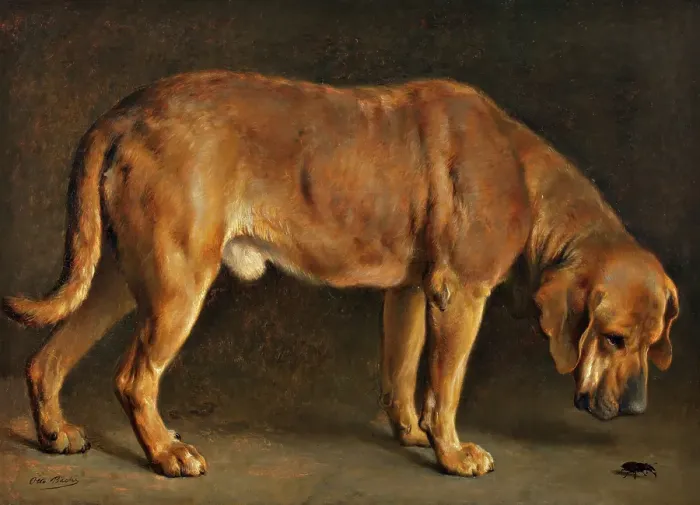 Framed Print : A Broholmer dog looking at a stag beetle, 1871. Creator: Otto Bache Framed Print : A Broholmer dog looking at a stag beetle, 1871. Creator: Otto Bache