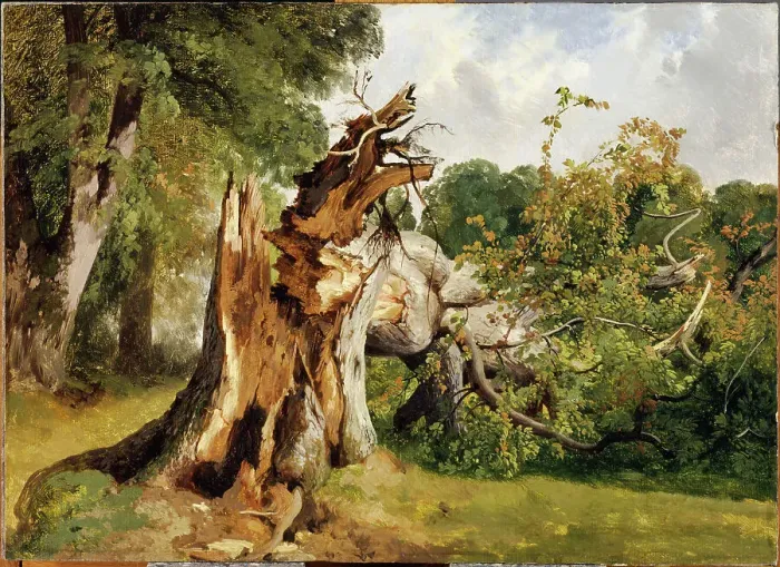 Framed Print : Broken tree at near Meiringen (Bernese Oberland), Mid of the 19th cen.. Creator: Calame, Alexandre (1810-1864) Framed Print : Broken tree at near Meiringen (Bernese Oberland), Mid of the 19th cen.. Creator: Calame, Alexandre (1810-1864)