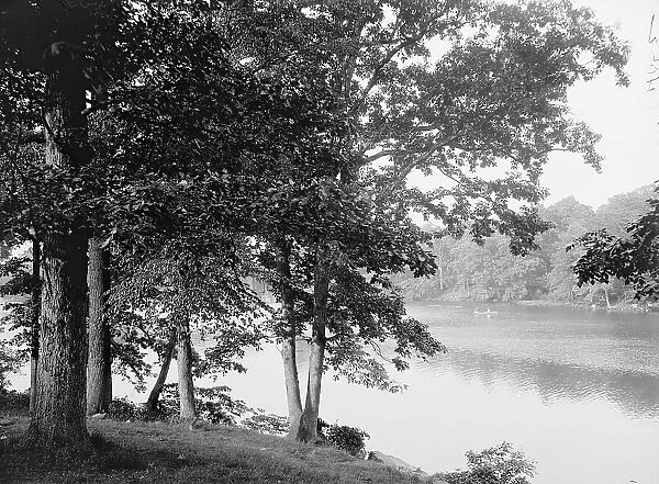 Along the Bronx River, Bronx Park, New York, c1906. Creator: Unknown