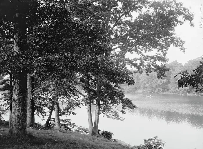 Framed Print : Along the Bronx River, Bronx Park, New York, c1906. Creator: Unknown Framed Print : Along the Bronx River, Bronx Park, New York, c1906. Creator: Unknown