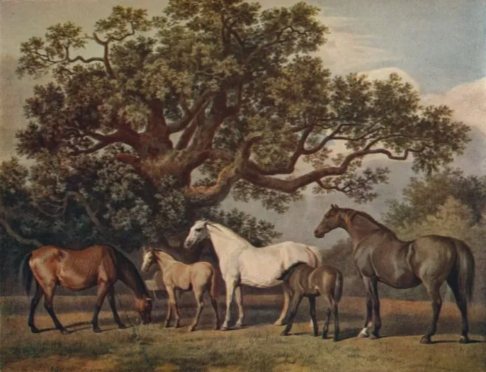 Framed Print : Brood Mares and Foals, late 18th century, (1922). Artist: George Townley Stubbs Framed Print : Brood Mares and Foals, late 18th century, (1922). Artist: George Townley Stubbs