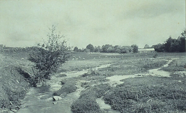 The brook, 1895. Creator: Wallace C. Babcock
