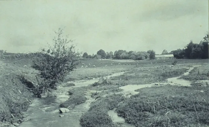 Framed Print : The brook, 1895. Creator: Wallace C. Babcock Framed Print : The brook, 1895. Creator: Wallace C. Babcock