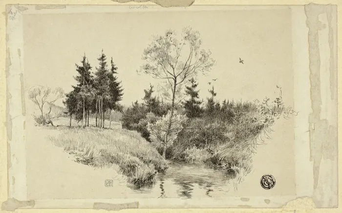 Framed Print : Brook in Forest, n. d. Creator: Unknown Framed Print : Brook in Forest, n. d. Creator: Unknown