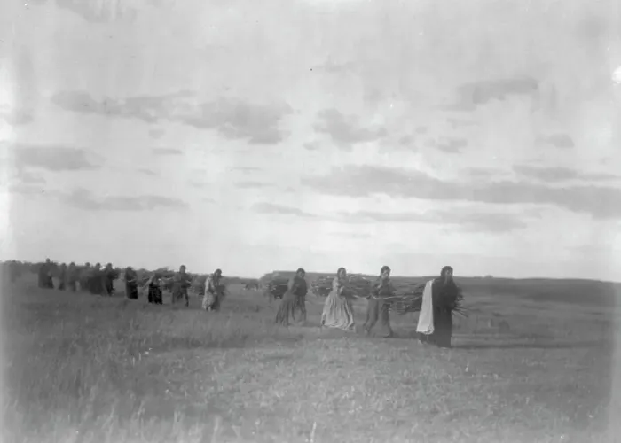 Framed Print : The brush-gatherers-Arikara, c1908. Creator: Edward Sheriff Curtis