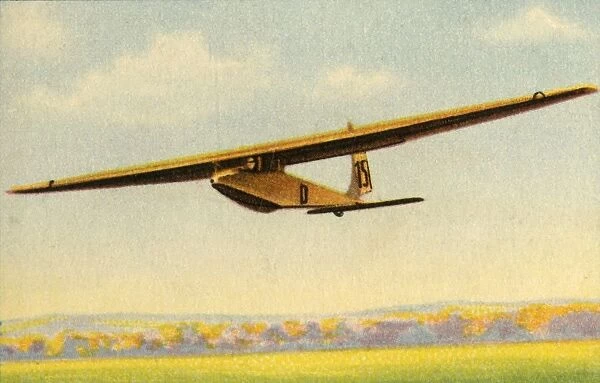 BSV Luftikus glider, 1932. Creator: Unknown
