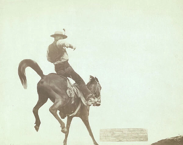 Bucking Bronco Ned Coy, a famous Dakota cowboy, starts out for the cattle round-u... 1888. Creator: John C. H. Grabill