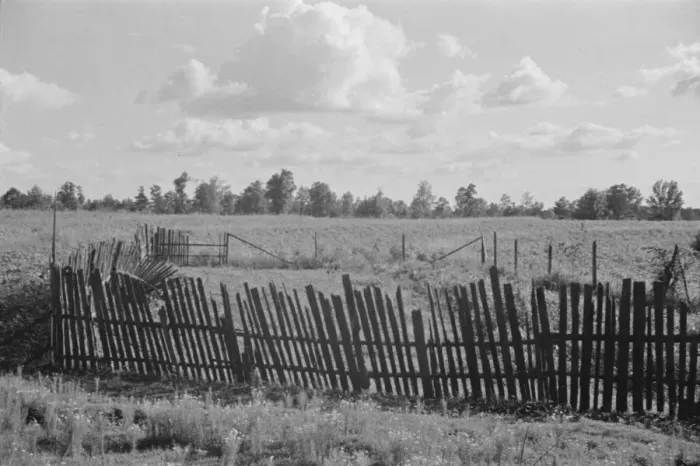 Framed Print : Bud Fields garden, Hale County, Alabama, 1936. Creator: Walker Evans Framed Print : Bud Fields garden, Hale County, Alabama, 1936. Creator: Walker Evans