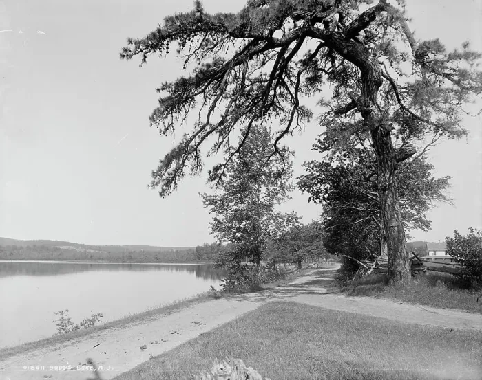 Framed Print : Budd's Lake, N.J. between 1900 and 1906. Creator: Unknown Framed Print : Budd's Lake, N.J. between 1900 and 1906. Creator: Unknown