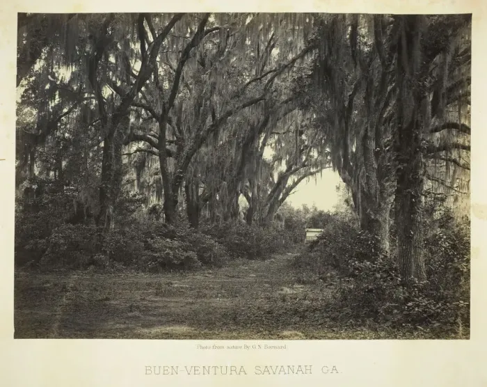 Framed Print : Buen-Ventura Savannah, Ga. 1866. Creator: George N. Barnard Framed Print : Buen-Ventura Savannah, Ga. 1866. Creator: George N. Barnard