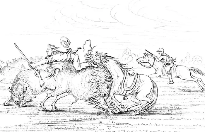 Framed Print : Buffalo attacking a cowboy on a horse, 1841. Artist: Myers and Co Framed Print : Buffalo attacking a cowboy on a horse, 1841. Artist: Myers and Co