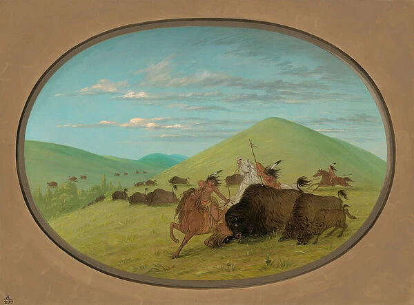 Buffalo Chase - Bulls Protecting the Calves, 1861  /  1869. Creator: George Catlin