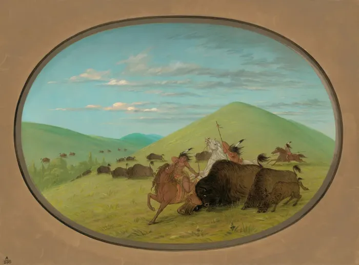 Framed Print : Buffalo Chase - Bulls Protecting the Calves, 1861 / 1869. Creator: George Catlin Framed Print : Buffalo Chase - Bulls Protecting the Calves, 1861 / 1869. Creator: George Catlin