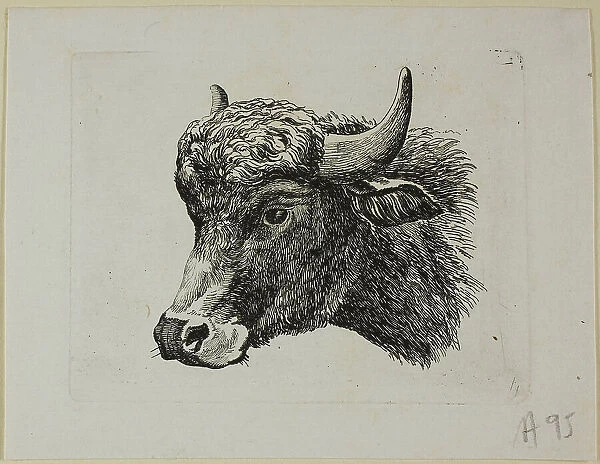 Buffalo Head Facing Left, from Die Zweite Thierfolge, 1799 / 1803. Creator: Johann Christian Reinhart