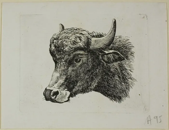 Framed Print : Buffalo Head Facing Left, from Die Zweite Thierfolge, 1799 / 1803. Creator: Johann Christian Reinhart