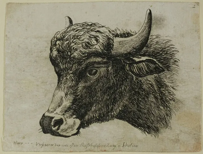Framed Print : Buffalo Head Facing Left, from Die Zweite Thierfolge, 1799 / 1803. Creator: Johann Christian Reinhart Framed Print : Buffalo Head Facing Left, from Die Zweite Thierfolge, 1799 / 1803. Creator: Johann Christian Reinhart
