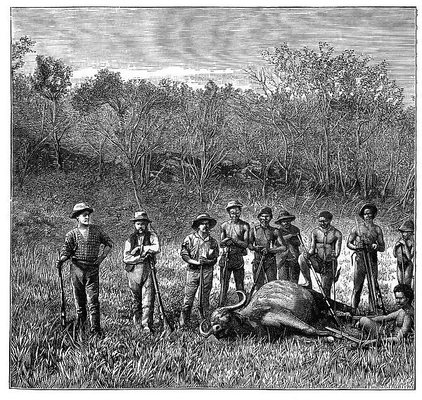Buffalo hunters in the Transvaal, South Africa, c1890